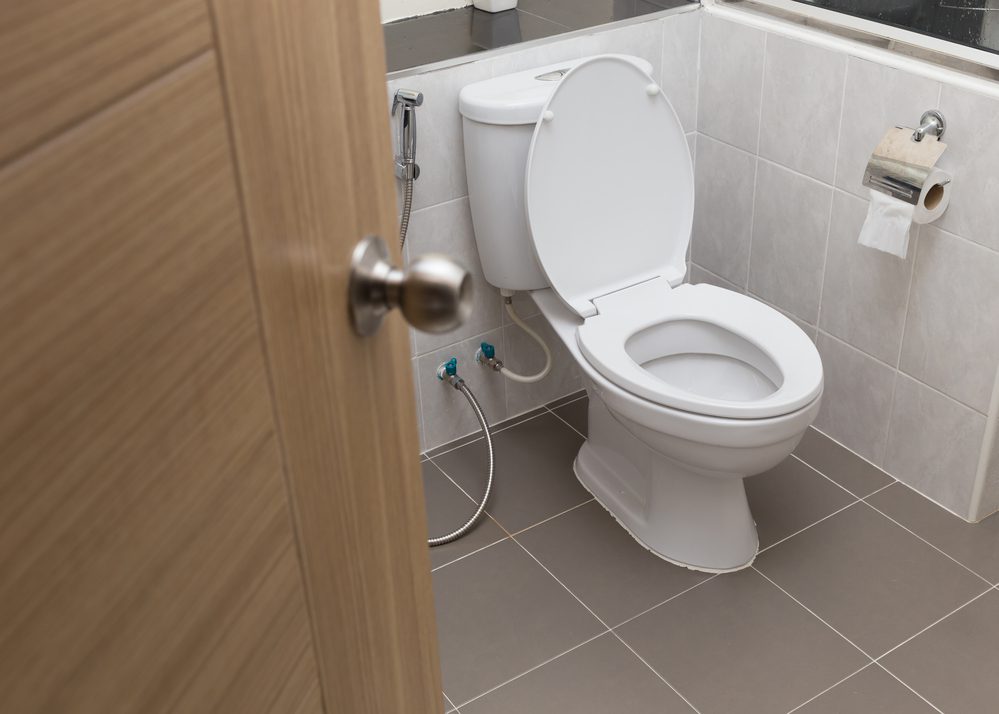 White Flush Toilet In Modern Bathroom Interior