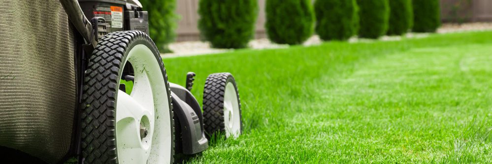 Bellingham Lawn Mowing & Maintenance