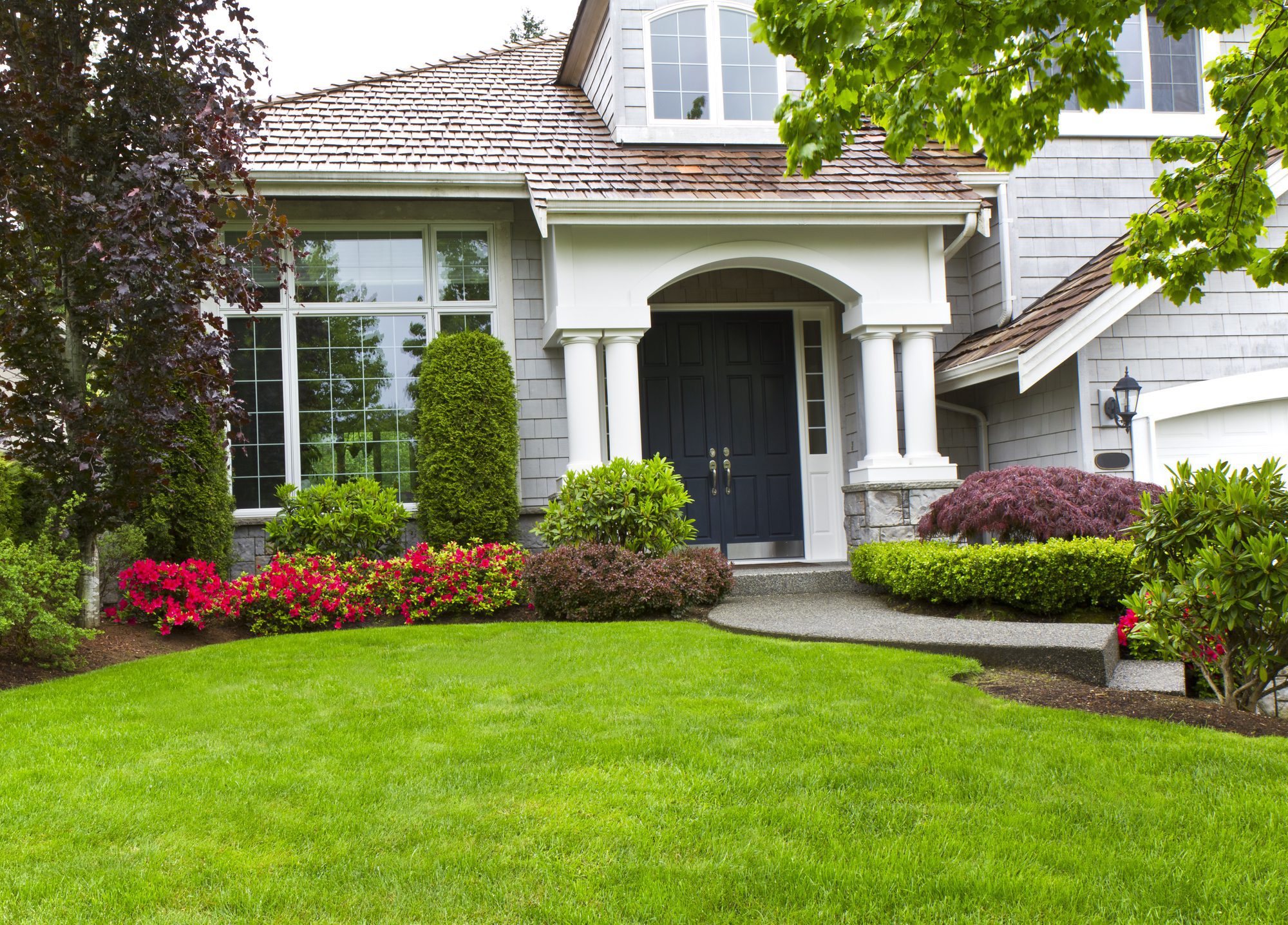front yard