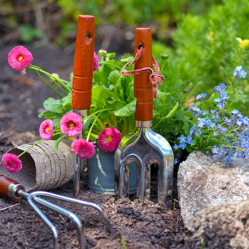 gardening tools and spring flowers in the garden g qby5d7d