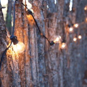 lights strung on outdoor natural wood patio fence kj9kbwx