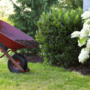 man doing yard work spreading mulch around landsca dd6qhuk