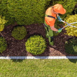 professional gardener at work xu82ahw